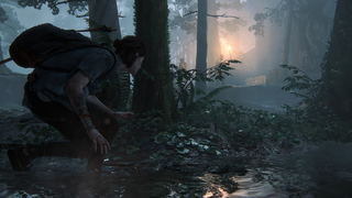Last of Us Part II, The